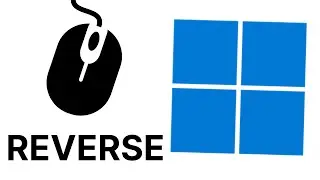 How to Reverse Mouse Scoll on Windows 11