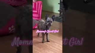 Mommy’s Sweet Girl 