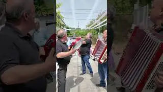 ORKESTRA BELSHIT TEK SHTEPIA E DASMES