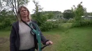 Hjarbæk Fjord Camping