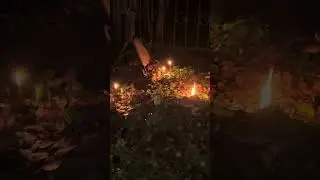 Чистка на День Всех Святых и Хеллоун!!! Вторая часть!!!