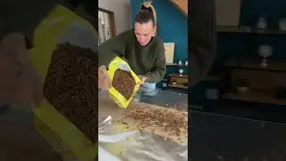 Je prank mon chat ! 