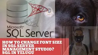 15.How to change font size in sql server management studio? SQL in Telugu