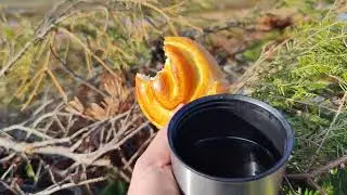Охота на гуся осенью на болоте.