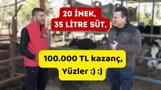 35 Liters Average with 20 Cows!! - Extreme Animal Husbandry Part 1