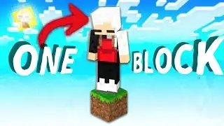 sera que e possível sobrevive e a apenas um bloco do Minecraft? (One Block)