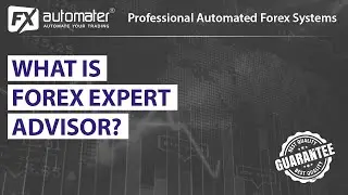 What is Forex Expert Advisor?