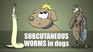 Subcutaneous Worm Infection - Plain and Simple