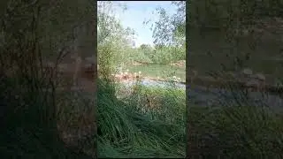 13 июня 2024 г.