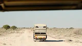 What I Learned Photographing my first African Safari (Gear, Locations, and Tips)