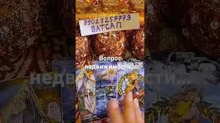 25 сентября 2024 г.