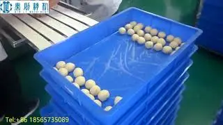 China factory supply automatic dough divider rounder & dough balls making machine