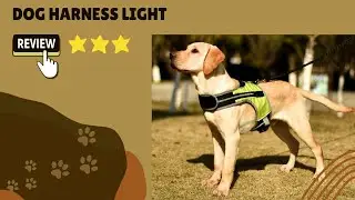 Dog Harness Light | Dogizz | Free Worldwide Delivery
