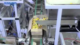 Фасовочный станок для упаковка конфет с сушками в картонные коробки