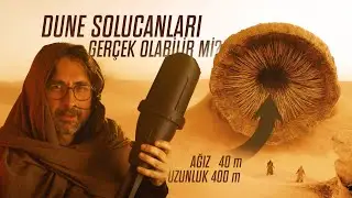 Dev kum solucanları gerçekten olabilir mi?