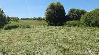 Аисты