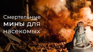 МАЛЕНЬКИЕ МИНЫ КОНТАКТНОГО ДЕЙСТВИЯ. ТАРАКАНЫ В ШОКЕ!
