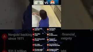 united states dollar vs xmr