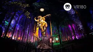 ELECTRIC FOREST X 180 VR RECAP