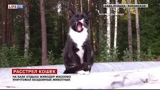 Живодер расстрелял 50 кошек