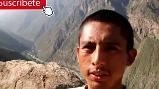 Nuevo contenido de programación