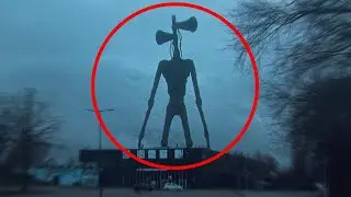 сиренлоголовый😥