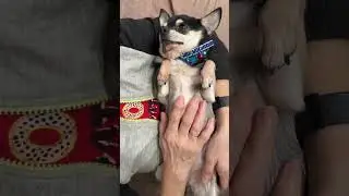 Тося 😅