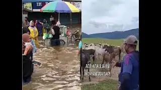 video pengobat stres😀 //dijamin menghilangkan penat dikepala🤣🤣