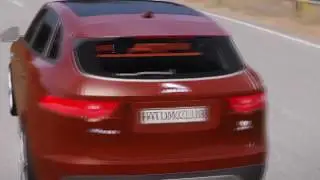 Fatum Life. ТОП 5 за 2 недели. Выпуск №3