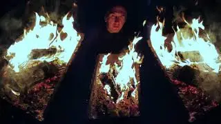 Собаки Табака 