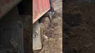 Грузовые мустанги 