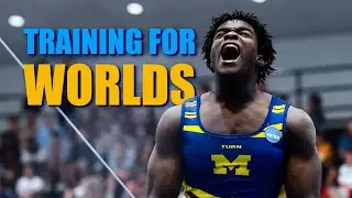 Training Days for Gymnastics World Championships