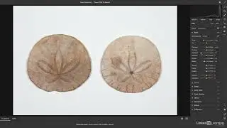 Opening raw images as Smart Objects in Photoshop 2022
