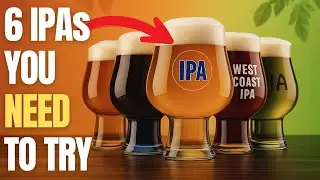 The 6 IPAs You NEED to Try