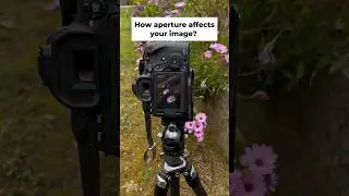 How aperture affects your image🤔 