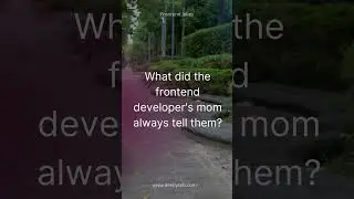 What did the frontend developer's mom always tell them?