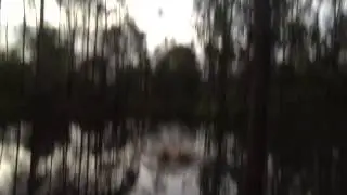 Double backflip from swing