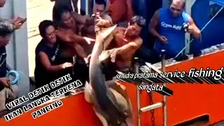 apa yang dilakukan orang ini ketika mendapatkan ikan hiu yang mahal harganya