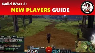 Guild Wars 2: New Players Beginners' Guide │ Playing the Game & Getting to Level 80