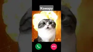 вам звонит комару #реки #roblox #cat #комару#сигма#звонок