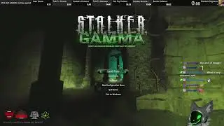The Final Attempt... | GAMMA !Speedrun