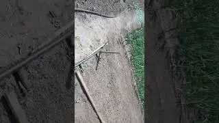 мой огород в деревне