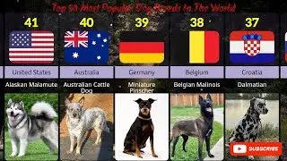Top 50 Most popular Dog in the world. Where is your dog from?