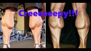 Major Anatomy Change, We have new MUSCLES!  Mandela Effect