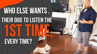 Dog Obedience Training- How to Get Your Dog to Listen the First Time Every Time