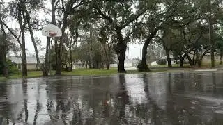Relaxing Sound of Falling Rain