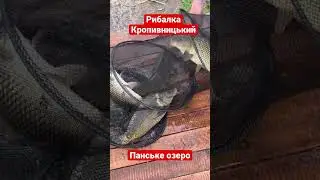 Риболовля в Кропивницькому! Рибалка #риболовляукраїна