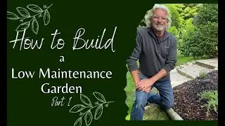 How to Make a Low Maintenance Garden