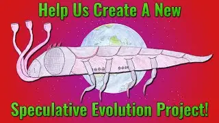 Let’s Create a Community Speculative Evolution Project!