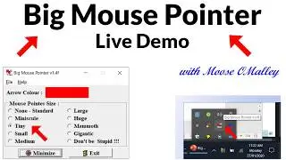 Big Mouse Pointer - Live Demo